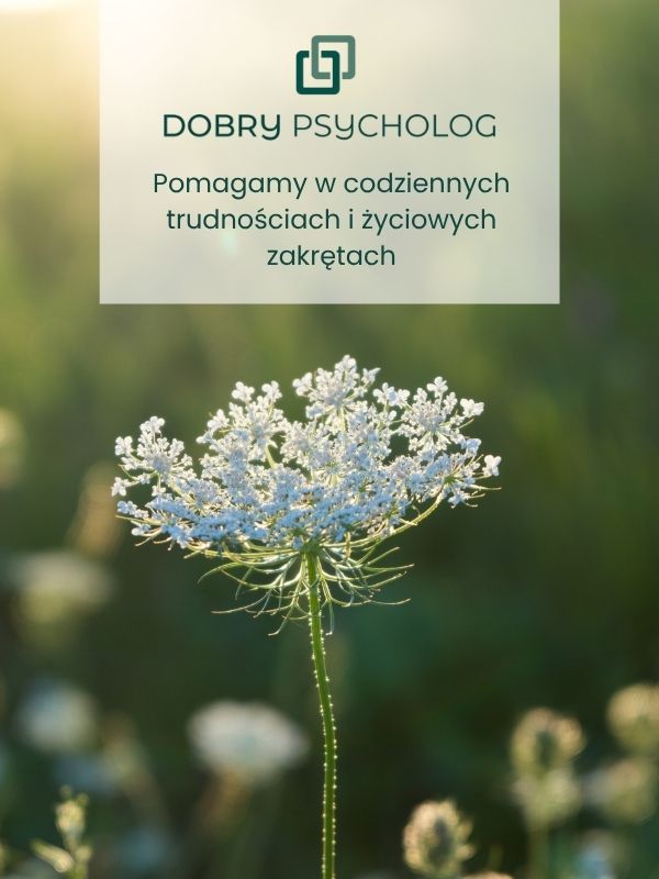 Coaching ADHD Katowice - Pomagamy w codziennych trudnościach i życiowych zakrętach